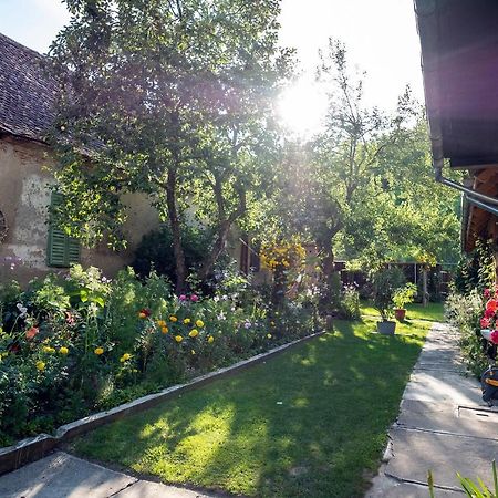 Villa Rihuini Eco Wine House Transylvania Riomfalva Kültér fotó
