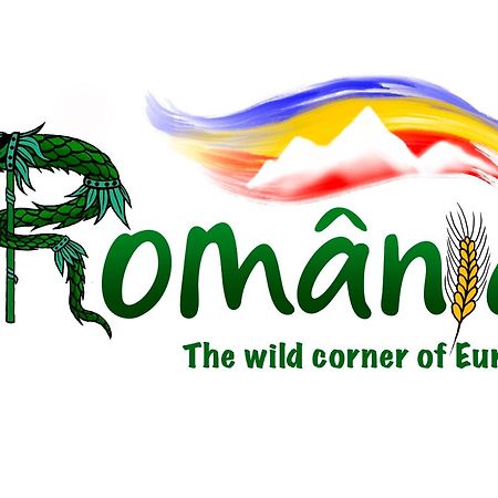 Villa Rihuini Eco Wine House Transylvania Riomfalva Kültér fotó