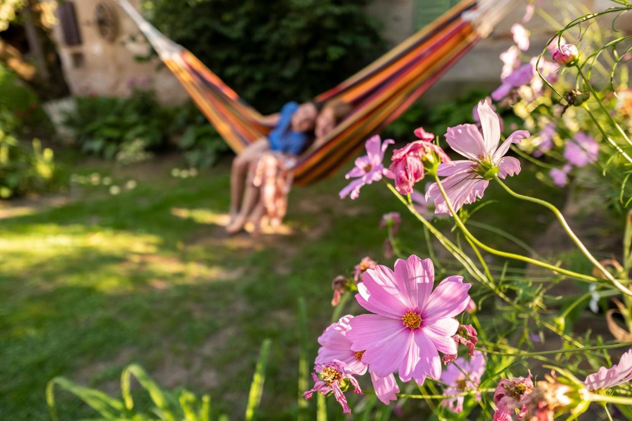 Villa Rihuini Eco Wine House Transylvania Riomfalva Kültér fotó