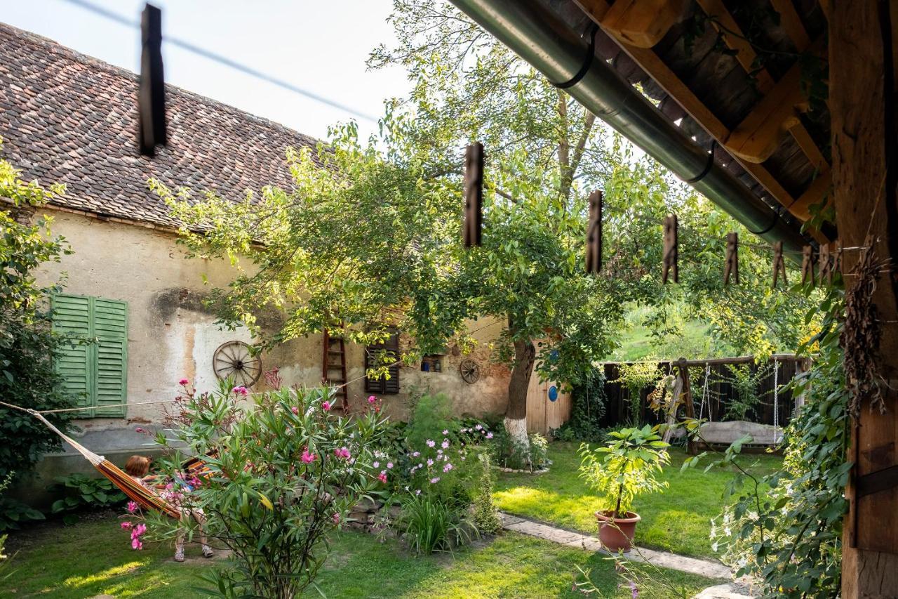 Villa Rihuini Eco Wine House Transylvania Riomfalva Kültér fotó