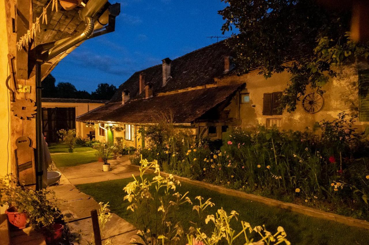 Villa Rihuini Eco Wine House Transylvania Riomfalva Kültér fotó
