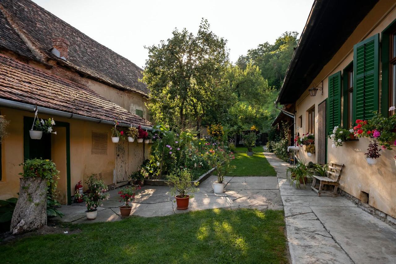 Villa Rihuini Eco Wine House Transylvania Riomfalva Kültér fotó