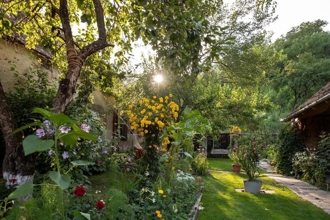 Villa Rihuini Eco Wine House Transylvania Riomfalva Kültér fotó
