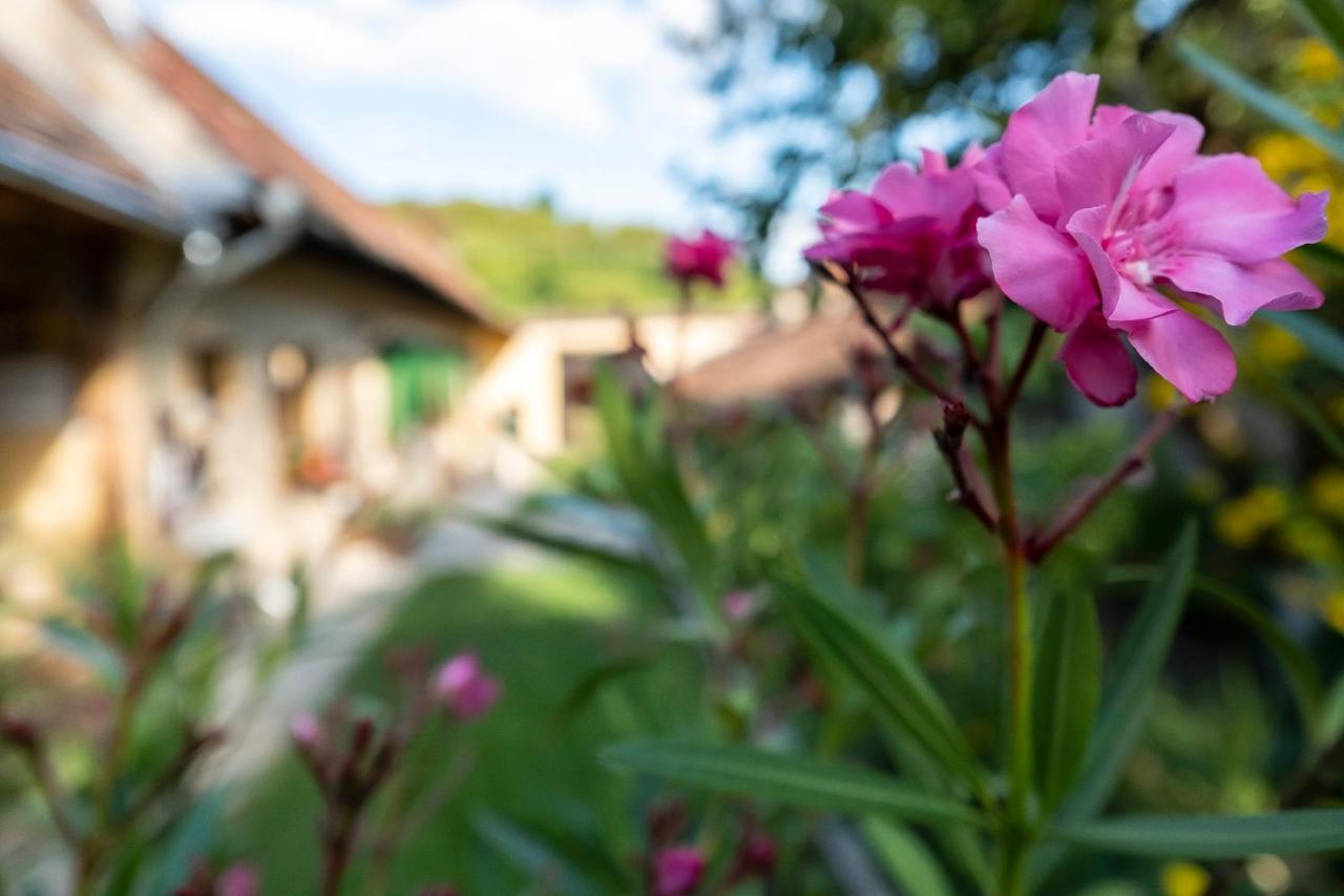 Villa Rihuini Eco Wine House Transylvania Riomfalva Kültér fotó