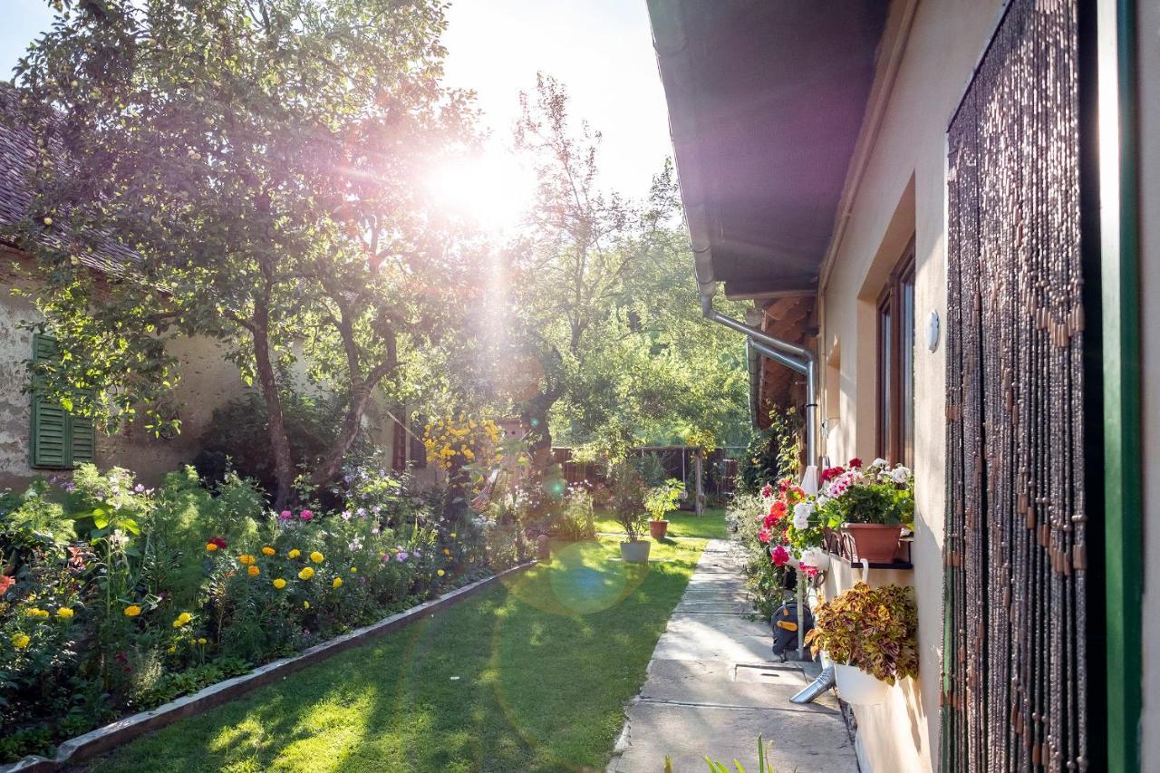 Villa Rihuini Eco Wine House Transylvania Riomfalva Kültér fotó