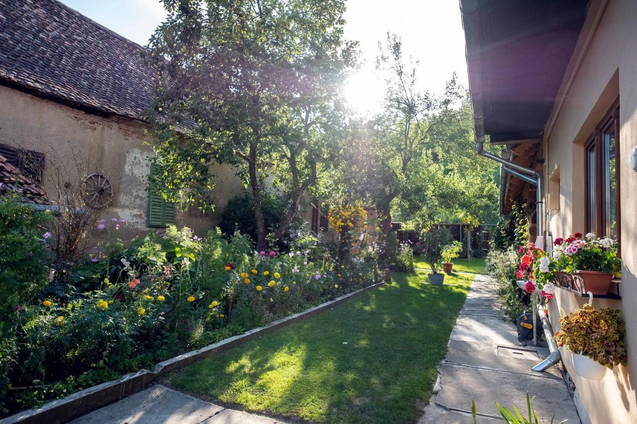 Villa Rihuini Eco Wine House Transylvania Riomfalva Kültér fotó